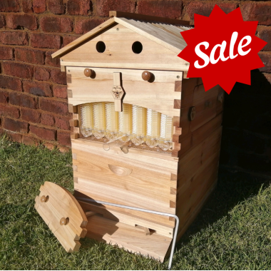 Auto Flow Beehive - December special