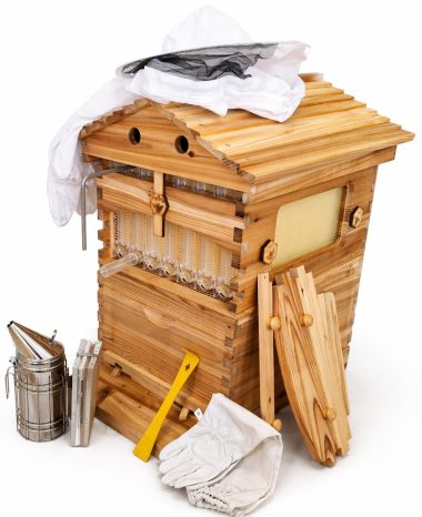 Starter Kit 2 Inspection