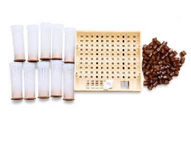 Queen Rearing Kit (Nicot)
